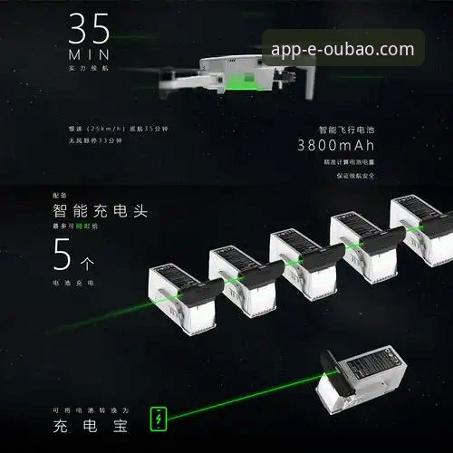 欧宝娱乐app下载 vs 网页版：哪个更适合中国用户？全面对比解析